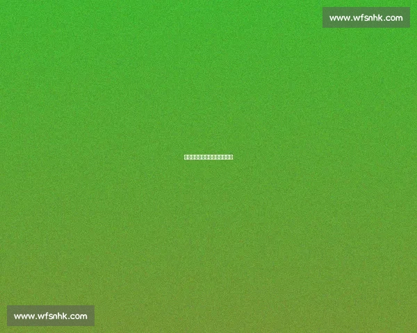 萌物充电场：成年人的续命偏方