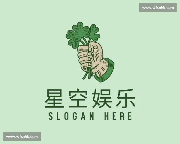 介绍星空娱乐